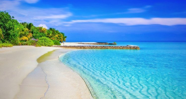 Sur quelles îles des Canaries poser ses bagages pendant les vacances ?