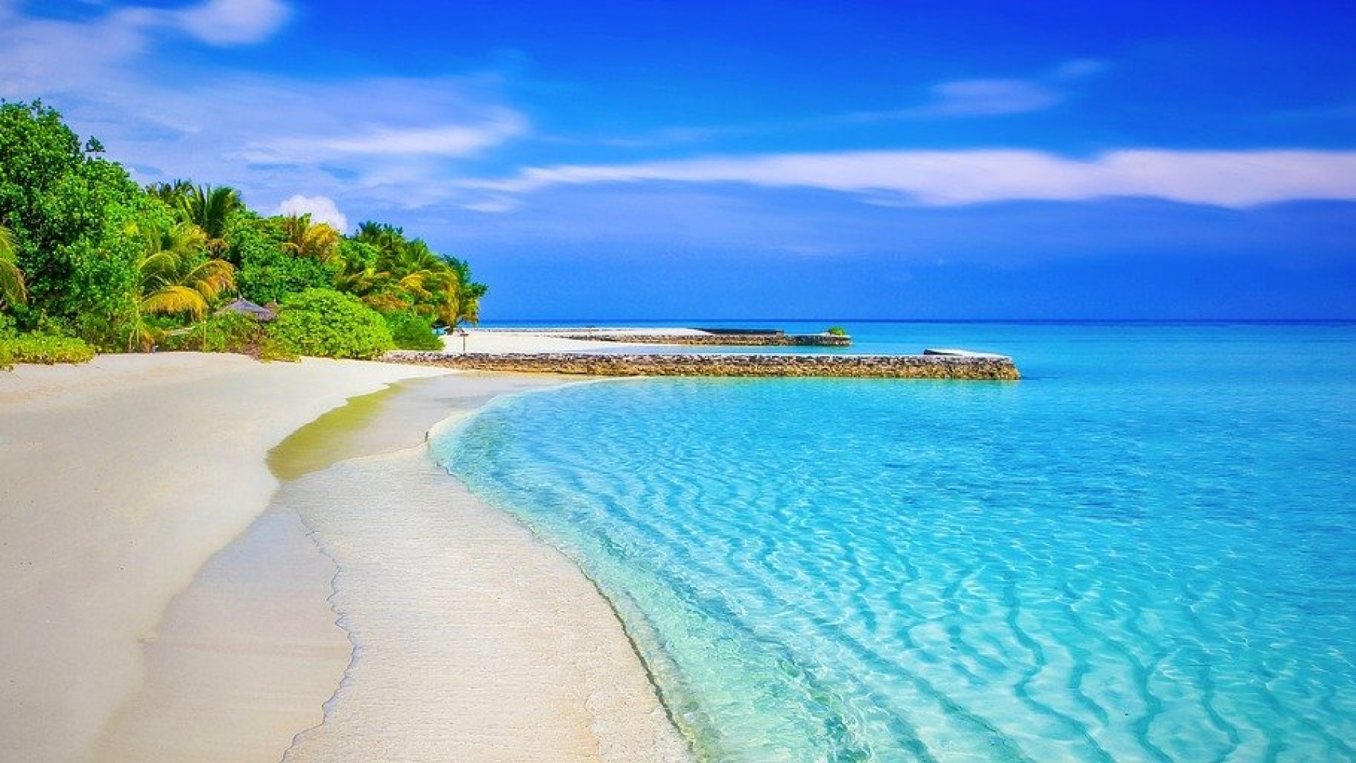 Sur quelles îles des Canaries poser ses bagages pendant les vacances ?